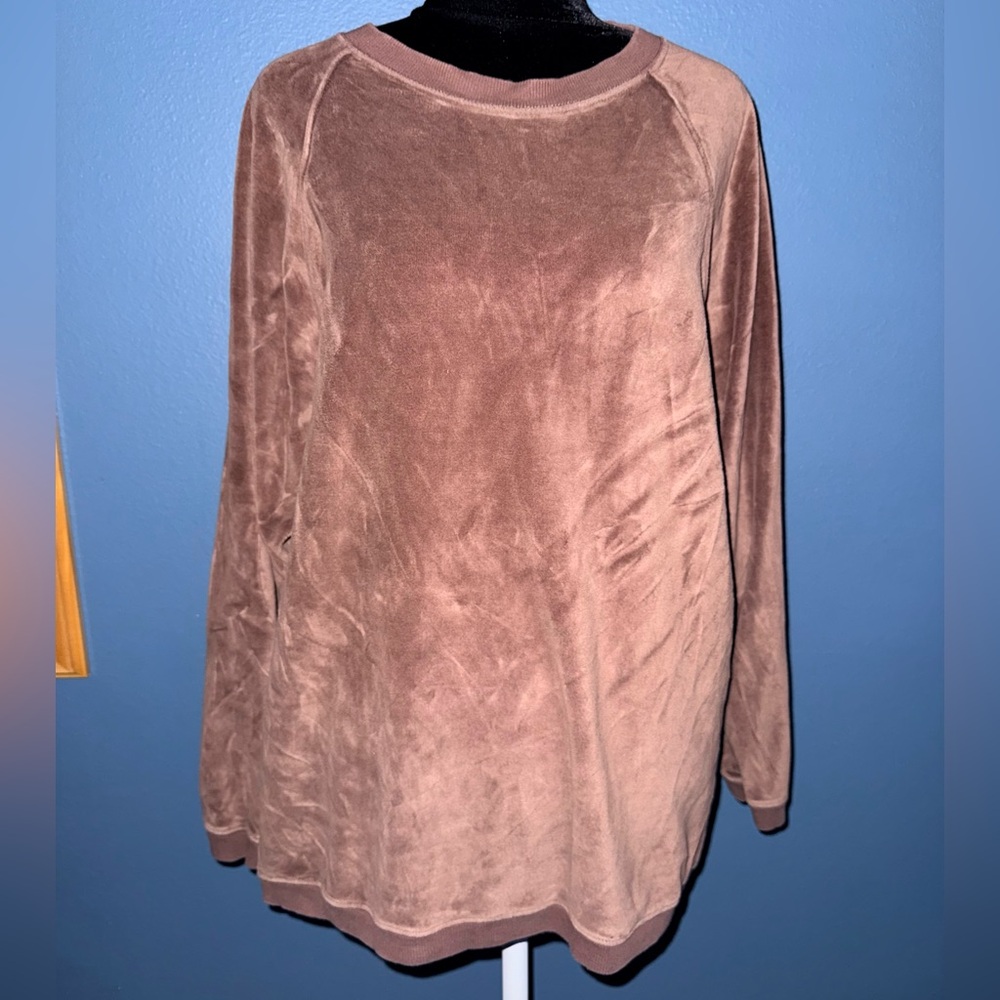 Aerie Velour Crewneck Sweatshirt